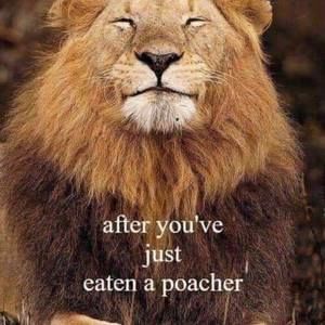 Meet your Posher, Jim